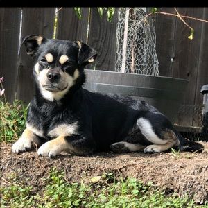 Meet your Posher, Ammy